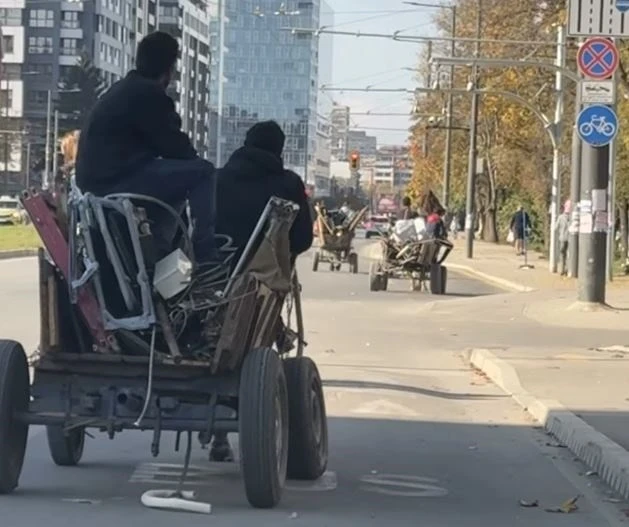 Уж има забрана, а положението в София е Лесли Каручка СНИМКИ 