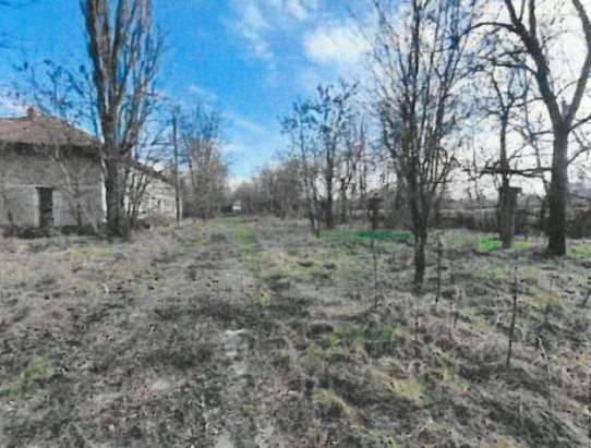 Крупни инвестиции в този наш град, превръщат гора в индустриална зона
