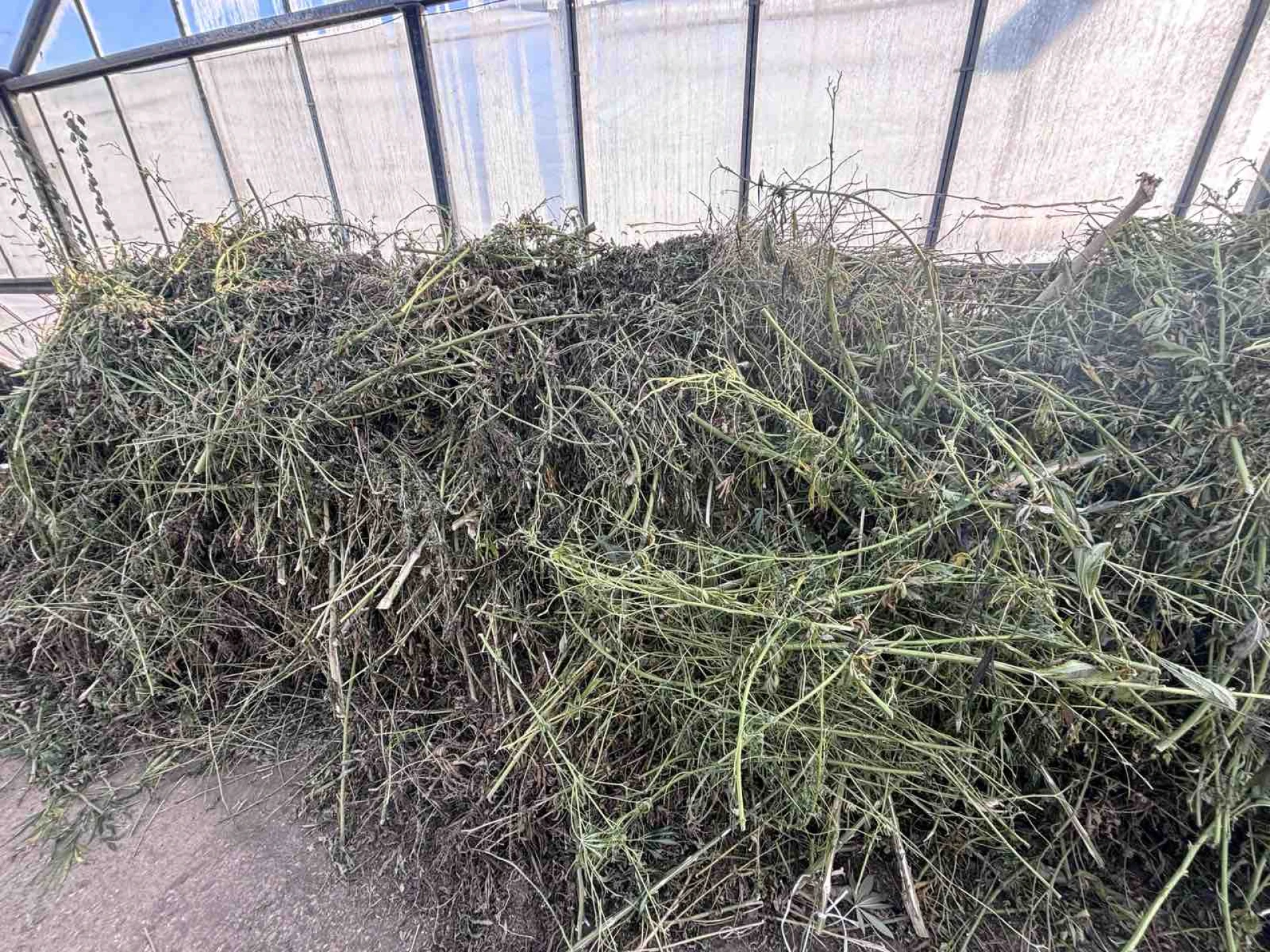 Криминалисти надушиха "гореща следа" в Добричко и направиха огромен удар СНИМКИ 