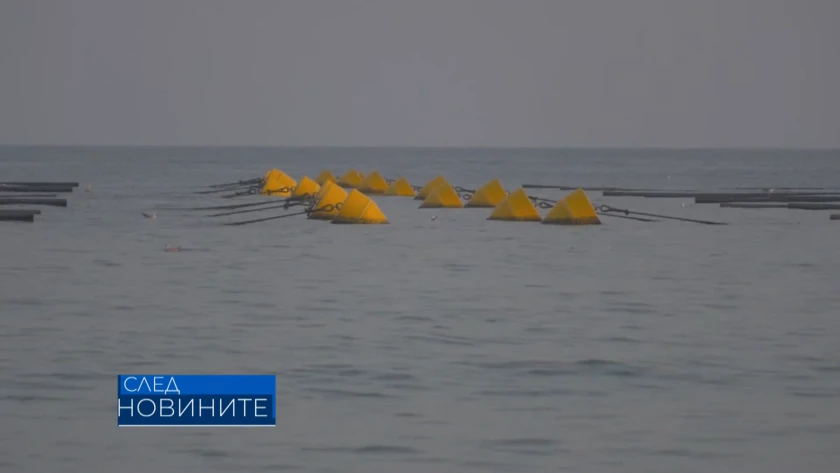 Огромна опасност надвисна над Черно море, превръща се в сметище и умира СНИМКИ