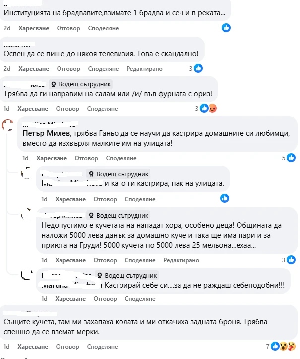 Писъци от ужас в Асеновград! Озверели псета като магарета нападат деца през ден, общината нехае