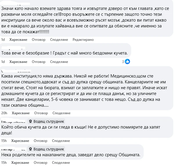 Писъци от ужас в Асеновград! Озверели псета като магарета нападат деца през ден, общината нехае