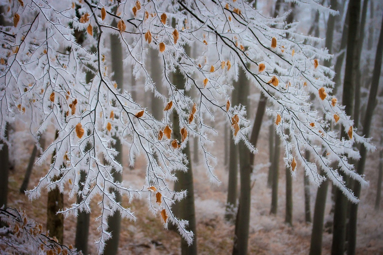 Meteo Balkans алармира: Температурите падат до нулата!