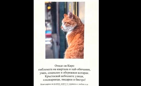 Центърът на София загуби една от емблемите си СНИМКА 