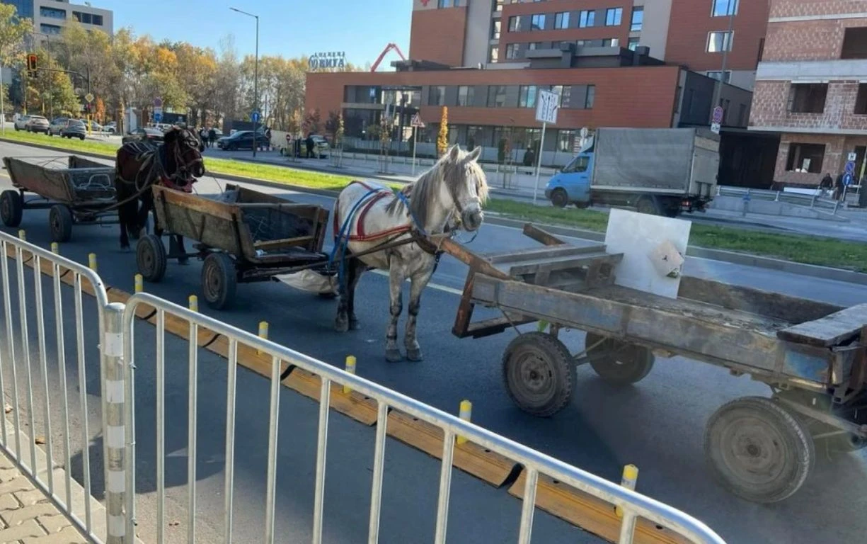 Любопитна гледка на ключова пътна артерия в София шокира мрежата СНИМКА 