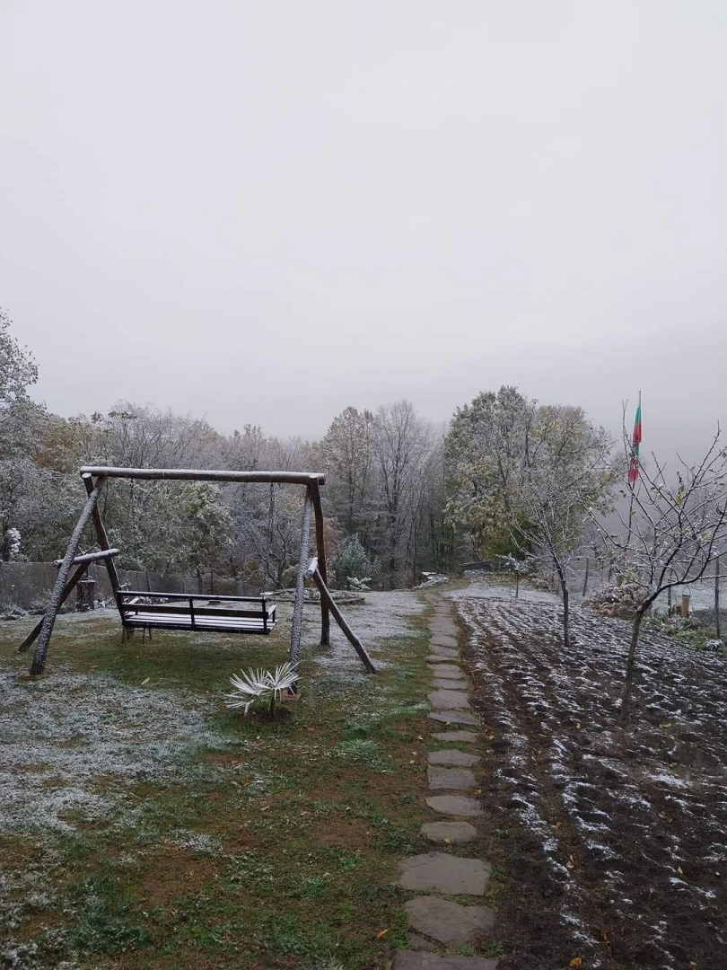 Първият сняг заваля! Ето къде в България зимата вече дойде СНИМКИ и ВИДЕО