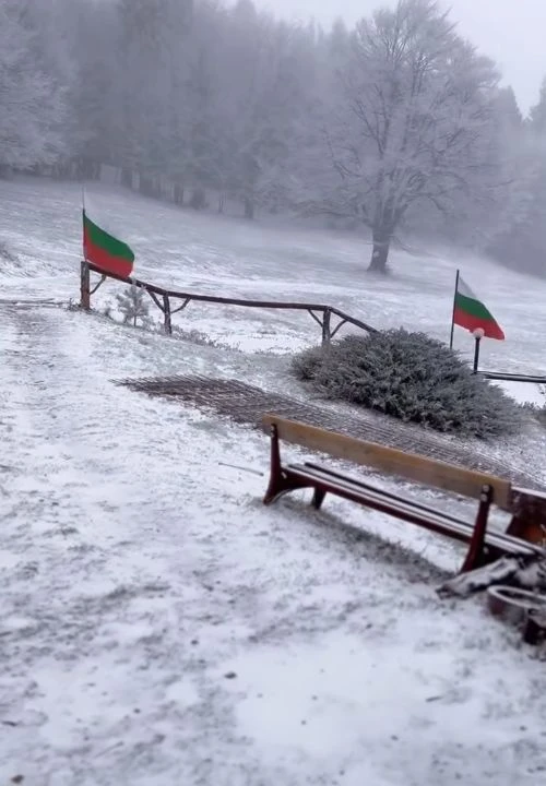 Първият сняг заваля! Ето къде в България зимата вече дойде СНИМКИ и ВИДЕО