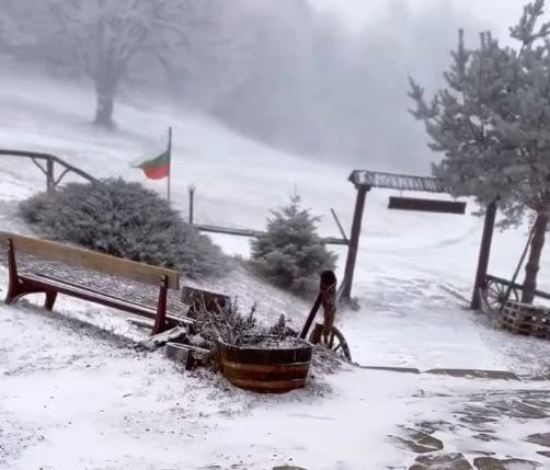 Първият сняг заваля! Ето къде в България зимата вече дойде СНИМКИ и ВИДЕО