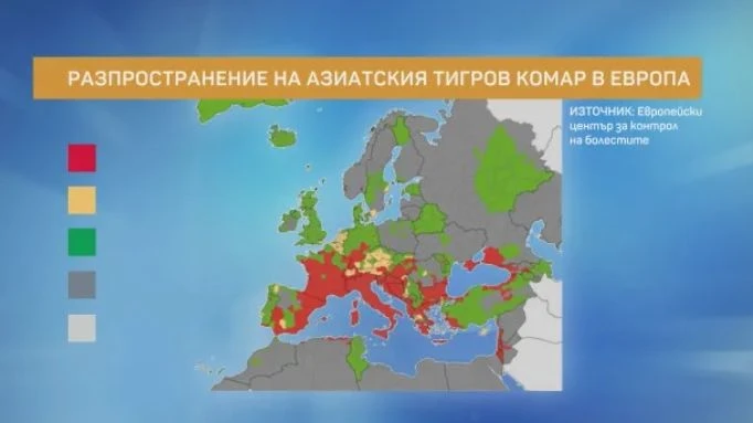 Д-р Марков: След години ще имаме хиляди случаи на денга в Европа