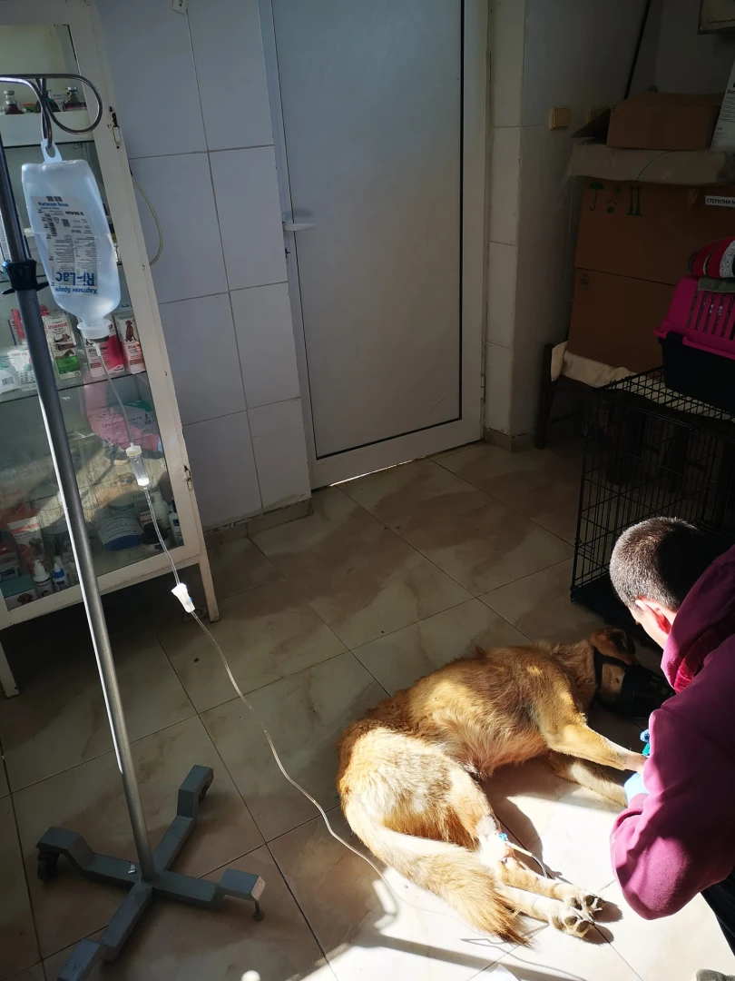 Смъртоносна болест е вкарана от Северна Македония у нас, вече има 12 жертви СНИМКИ