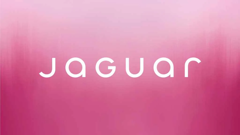 Безстрашен, излъчващ ентусиазъм, увлекателен - това е Jaguar, преобразен 