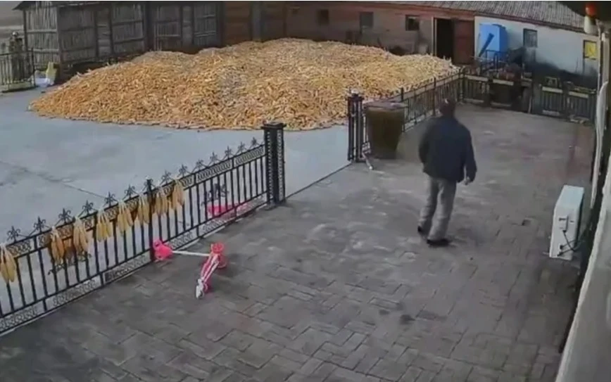 Дядо оцеля по чудо след среща с тигър ВИДЕО