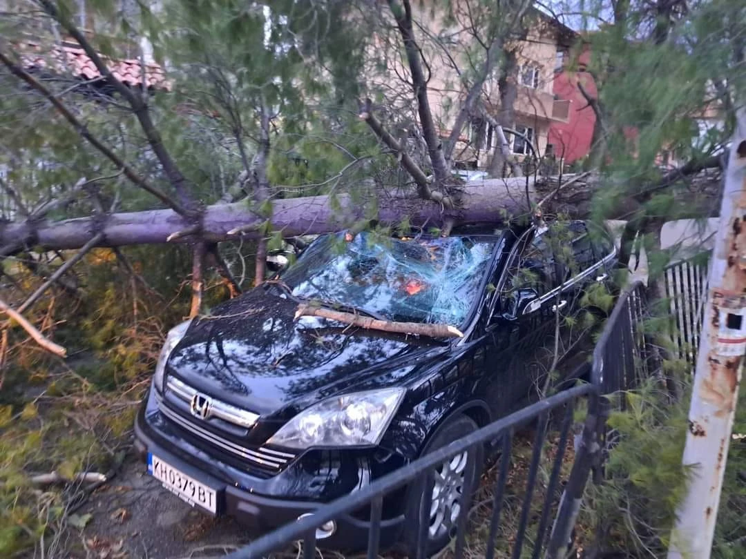 Започна се! Ледената виелица помита България, ще става още по-страшно ВИДЕО