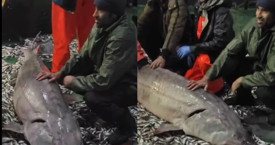 Рибари извадиха страшно чудовище край Емине ВИДЕО 