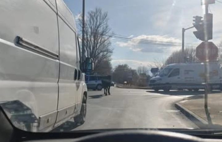В Дивия Северозапад: Такова нещо не се вижда всеки ден ВИДЕО 
