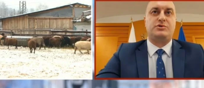 Министерството на земеделието: Резултатите от пробите на стада край Велинград са 100% достоверни