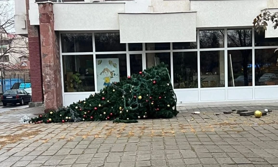 Тийнейджъри прекатуриха 200-килограмова елха в Пловдив СНИМКА