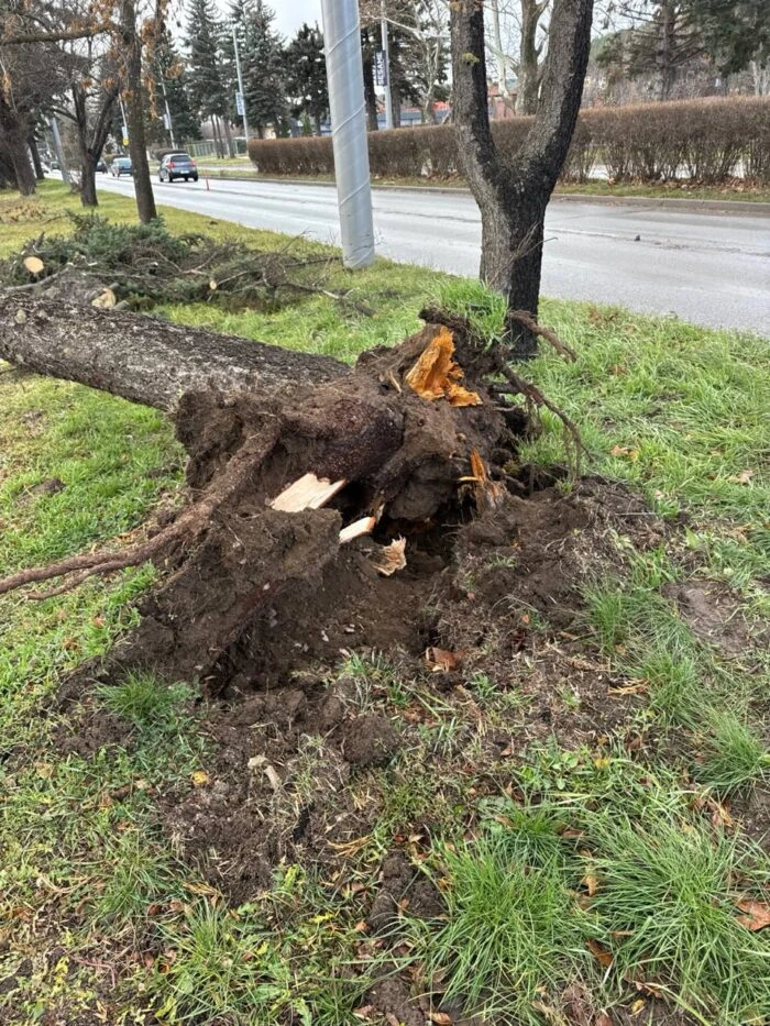 Ураганен вятър помете този наш град, като след война е СНИМКИ 
