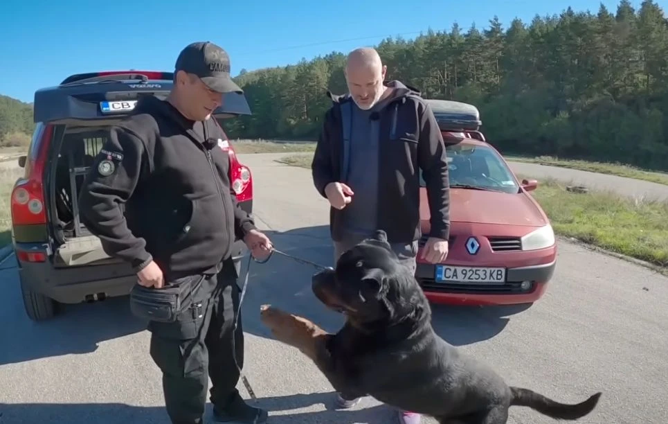 Всеки, който има куче, трябва да види това ВИДЕО