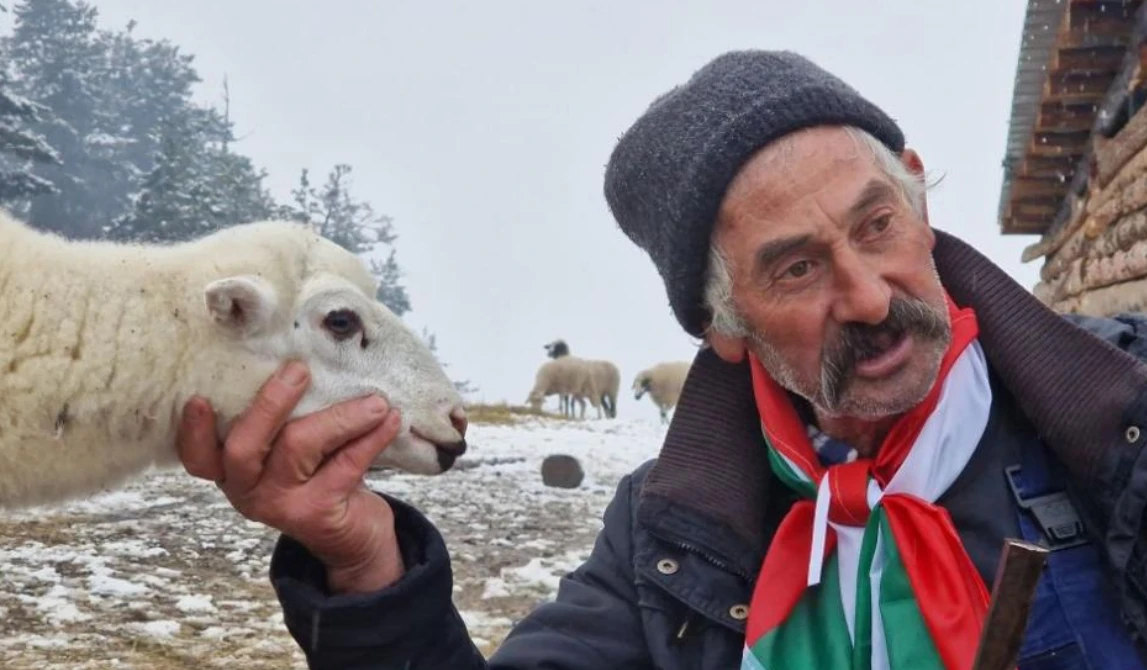 Властта отсече: 1 млн. лв. за собствениците на стадото във Велинград или трета проба