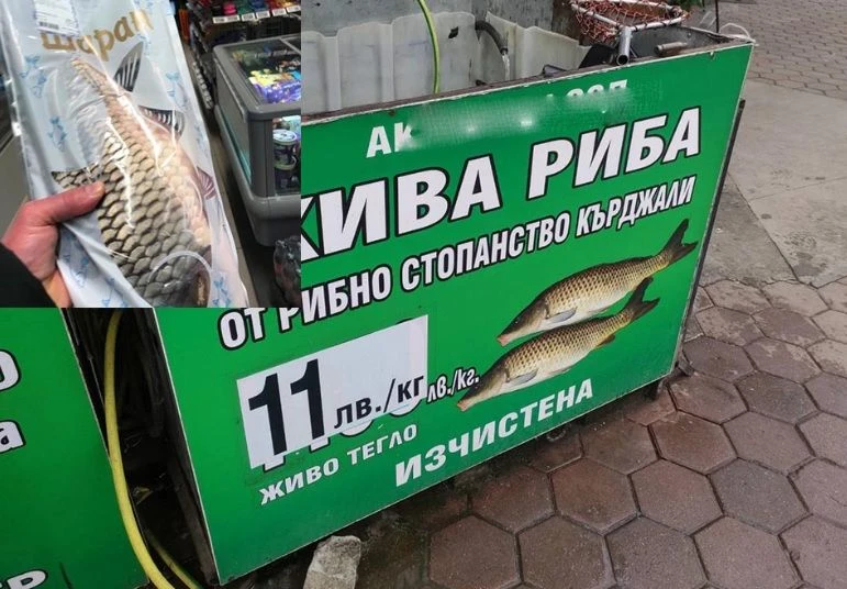 Предпразнично: Шаранът свършва за час в големите вериги, а марката „Кърджали“…