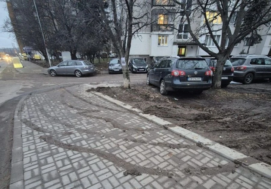 Вари ни, печи ни, това сме си! Свинщина в столичен квартал  СНИМКИ