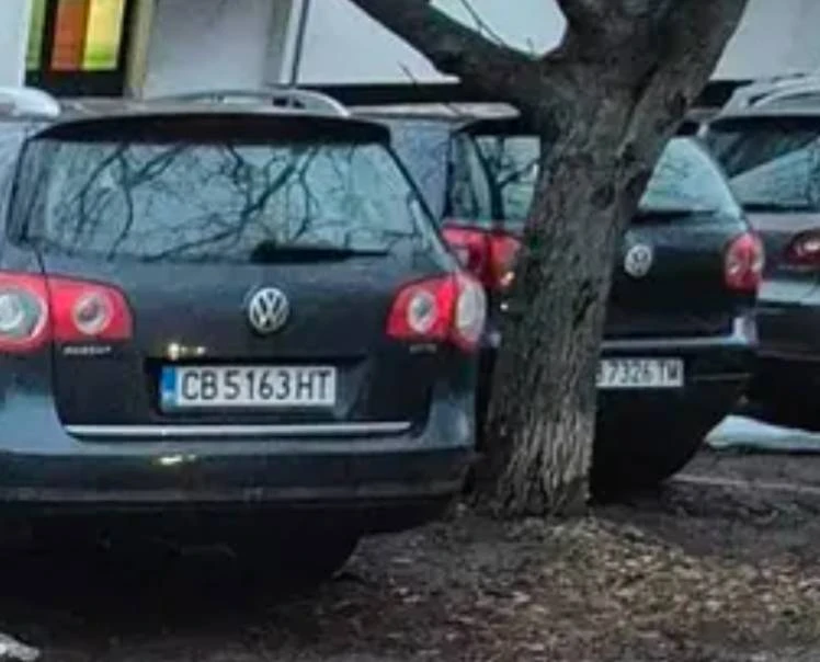Вари ни, печи ни, това сме си! Свинщина в столичен квартал  СНИМКИ