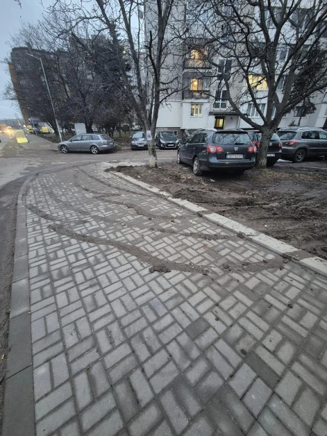 Вари ни, печи ни, това сме си! Свинщина в столичен квартал  СНИМКИ