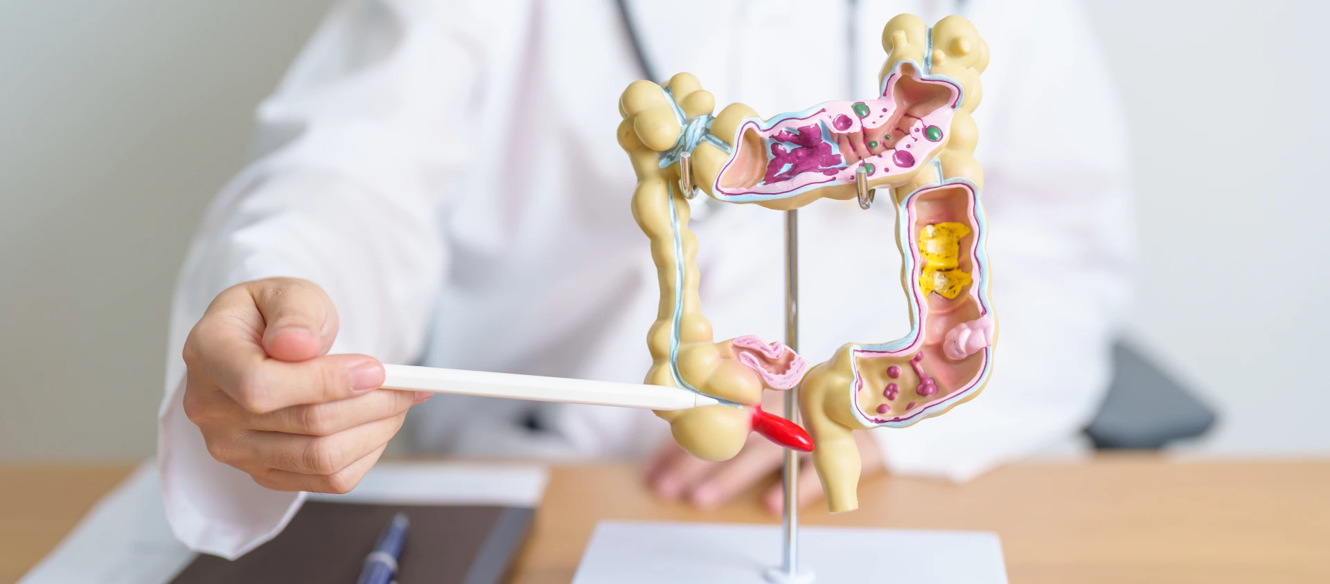 Внимание! Тази храна може да възпали апендицита ни