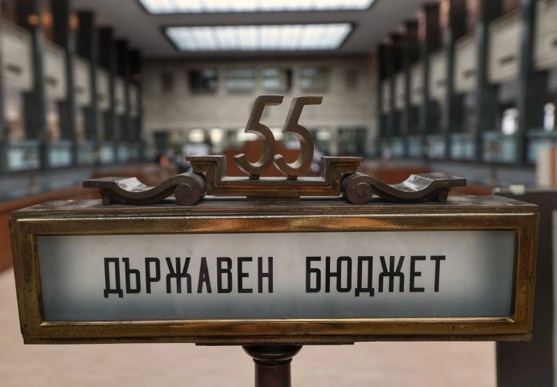 Жална ни майка: Тежък роден икономист с мрачна прогноза за бюджета