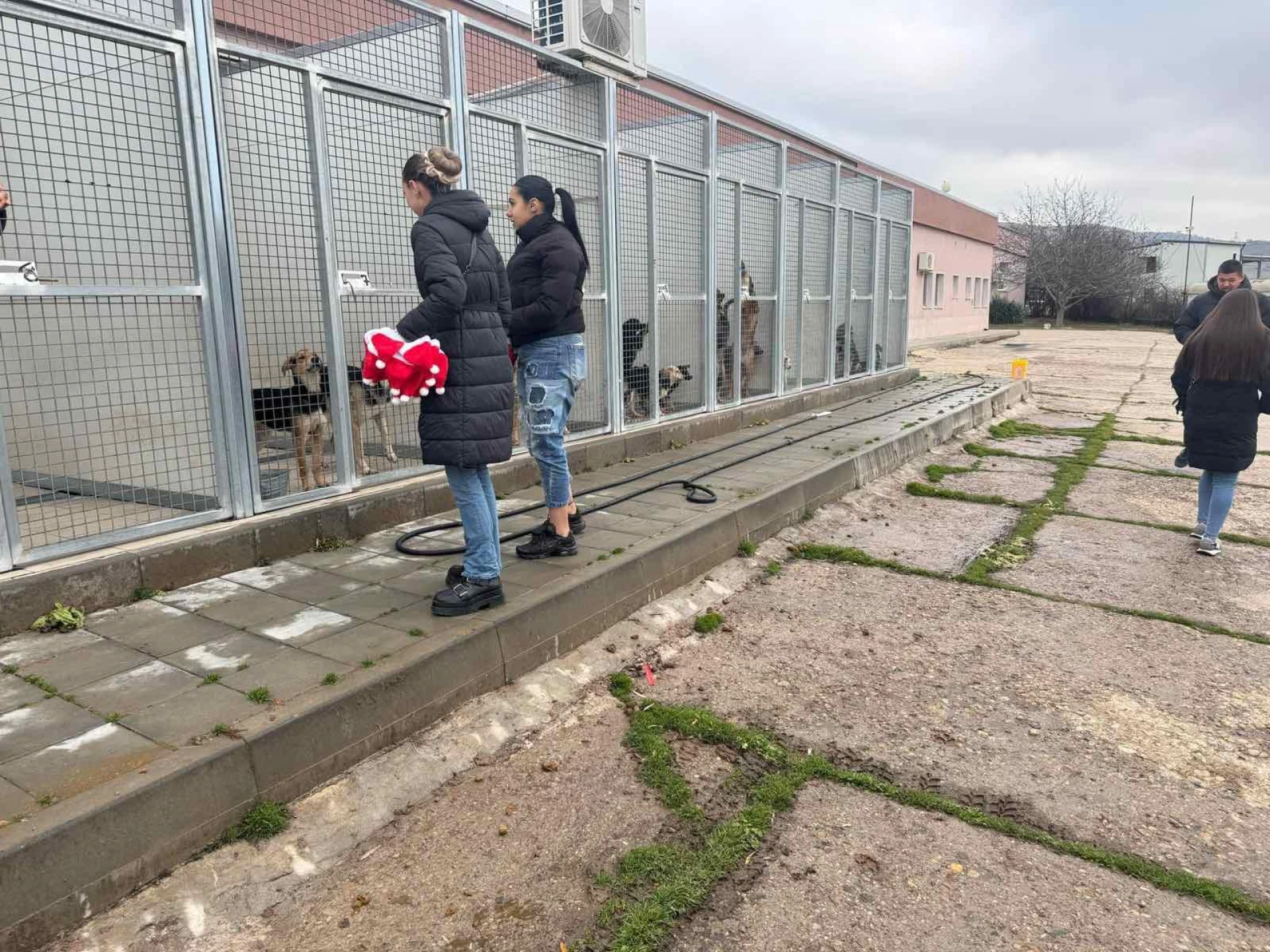 Младежите от БСП-Връбница подкрепиха грижата за бездомните животни в общинския приют в с. Сеславци