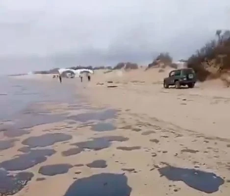 Нещо страшно се случва по плажовете на Черно море, целите са в петна от... ВИДЕО