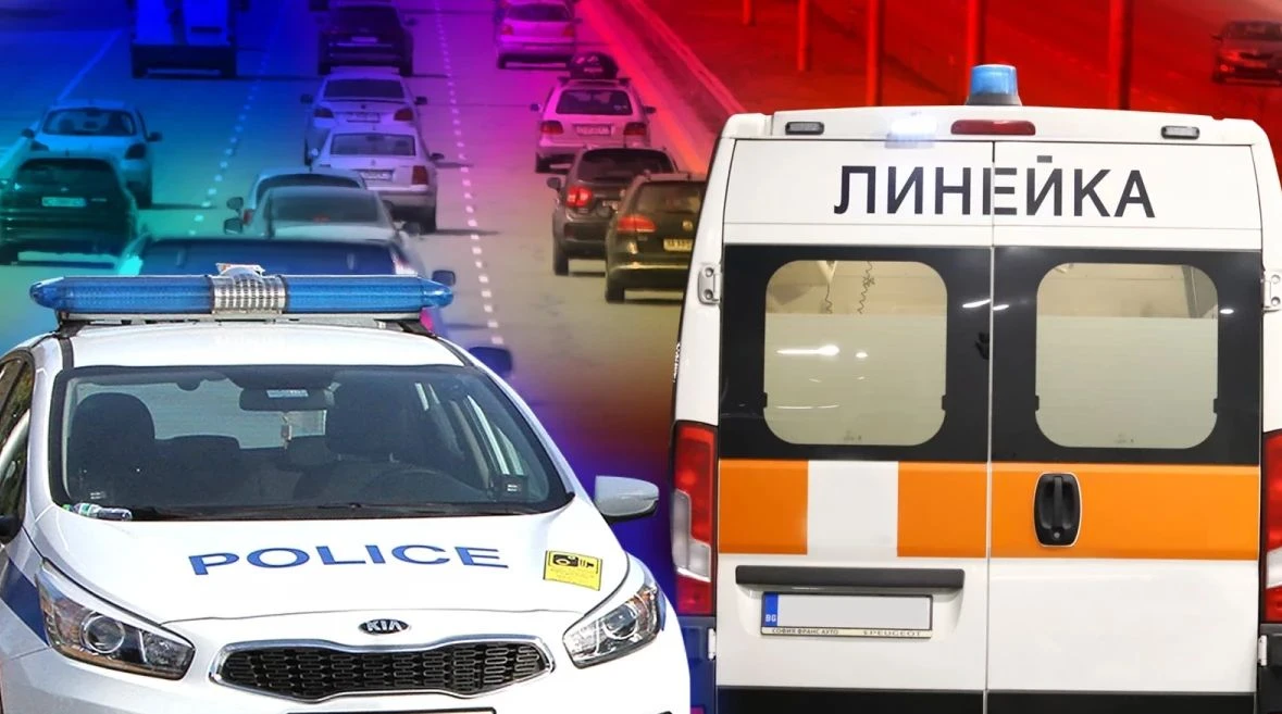 Перничанка живее втори живот! Линейките я отрязали, а по пътя срещнала...