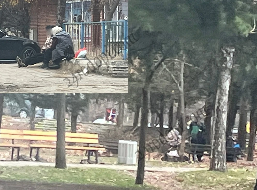 Дъно: Старица в Кърджали се продава за 1 лев?!