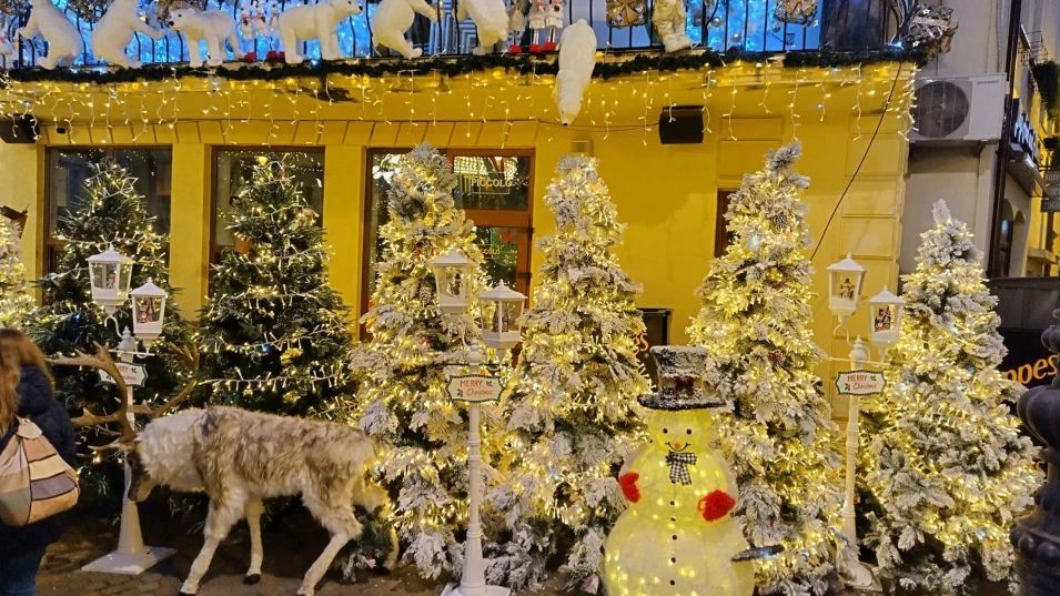 Българи "щурмуваха" коледния базар в Крайова СНИМКИ