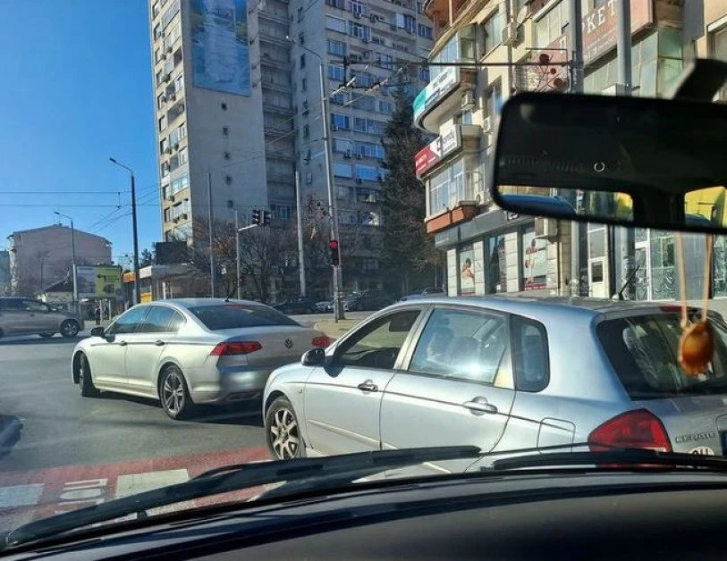 Шофьорка избухна: Забравихме какво е да сме човеци! СНИМКА