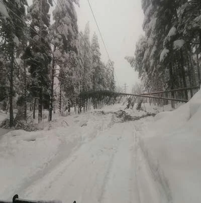 Последни новини за всички без ток, от ел. дружеството обявиха, че...