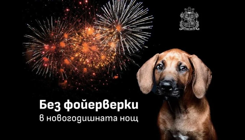 Софиянци, не си и помисляйте да правите това на НГ, за да не си изпатите жестоко
