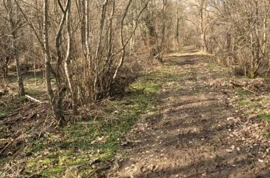 3 момчета открити мъртви в Странджа, мистерия обви случилото се 