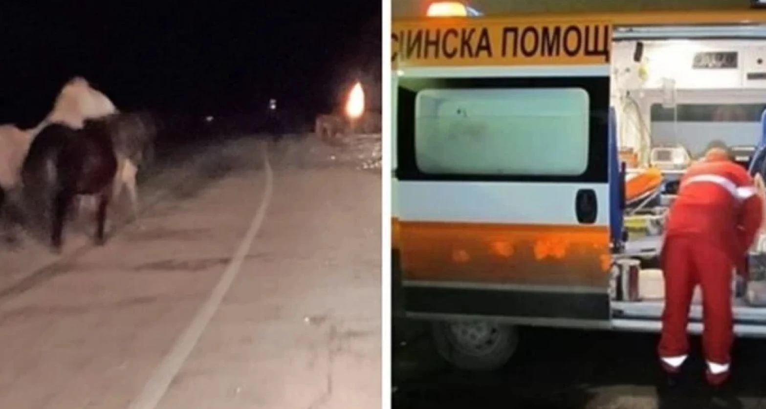 Гореща вест за смъртта на 18-г. Ади