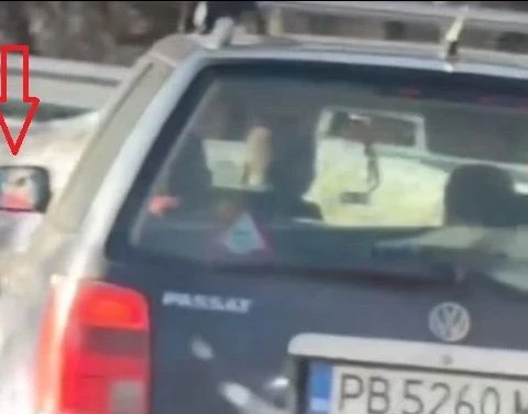 Таткото, дал на детето си да шофира по завоите на Шипка, го загази 