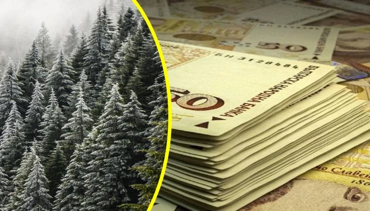След липсата на ток: Това село се вдигна на бунт, иска си парите