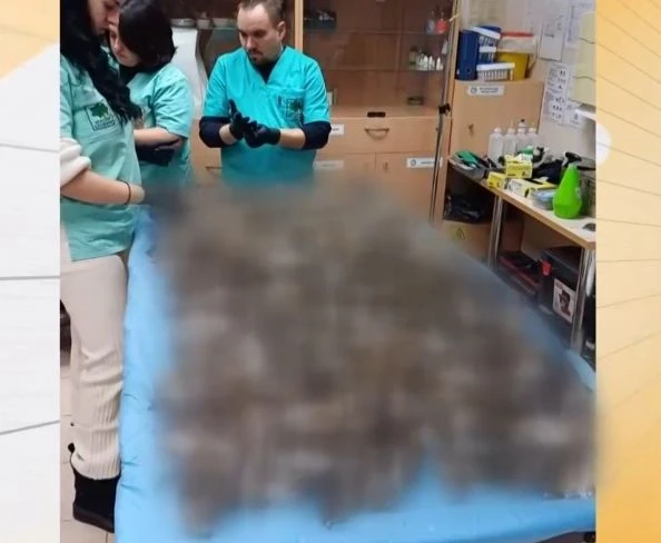 Жертвите на новогодишната заря в Копривщица вече са над 1000 ВИДЕО