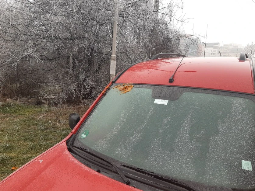 Голяма простотия за ЧНГ в София СНИМКИ 