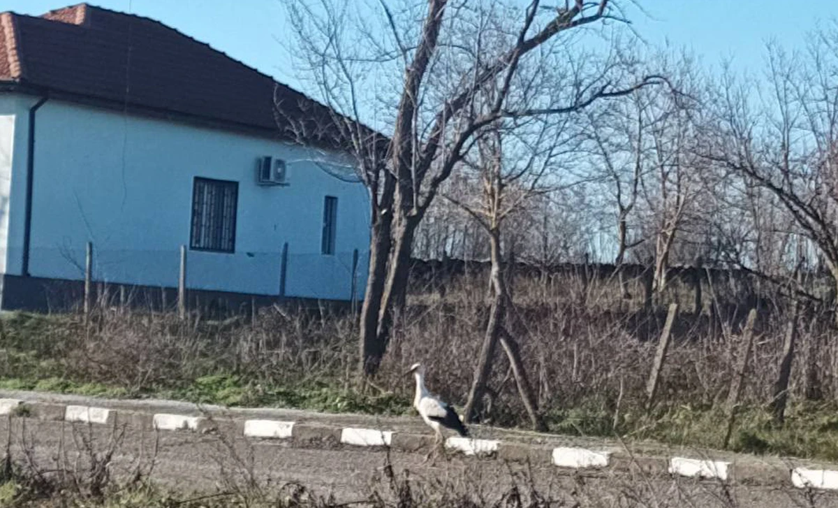 В Дропла гледат и се молят: Дано да е на късмет СНИМКА 