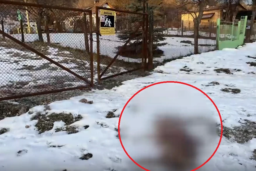 Неописуем ужас в Трънско! Мъж отвори входната врата на дома си и намери труп ВИДЕО