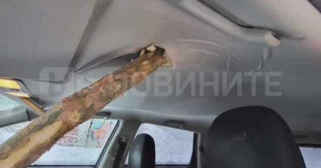 "Пирогов" с извънредни новини за 19 г. Калоян, прободен от паднало дърво