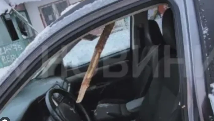 "Пирогов" с извънредни новини за 19 г. Калоян, прободен от паднало дърво