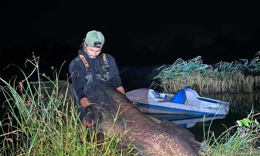 Съпрузи хванаха сом с тегло 68 кг, изваждали го час и половина от водата СНИМКА