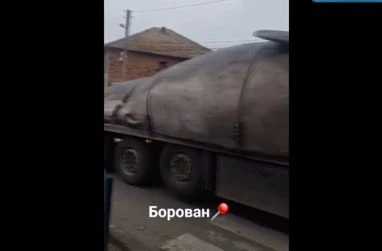 В Северозапада гледат и не вярват на очите си: Истински ли е този кит? ВИДЕО  